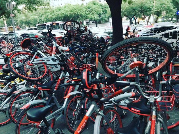 雜亂無章的共享單車